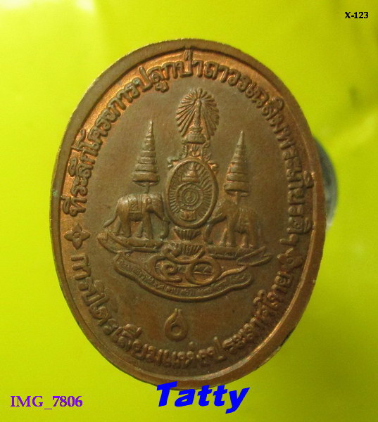 หลวงพ่อคูณ กูรักป่า ป.ต.ท. สร้าง
