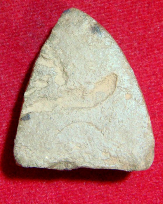 พระกรุหลวงพ่อโต วัดบางกระทิง จ.พระนครศรีอยุธยา