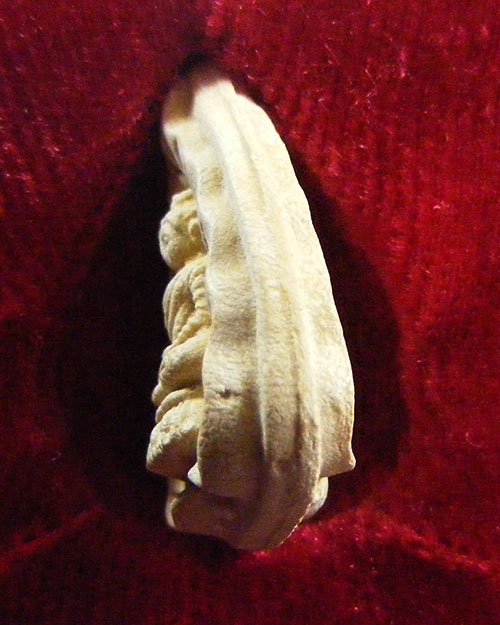  พระผง หลวงปู่แหวน สุจิณฺโณ  พศ. ๒๕๑๙ พร้อมกล่องเดิม 