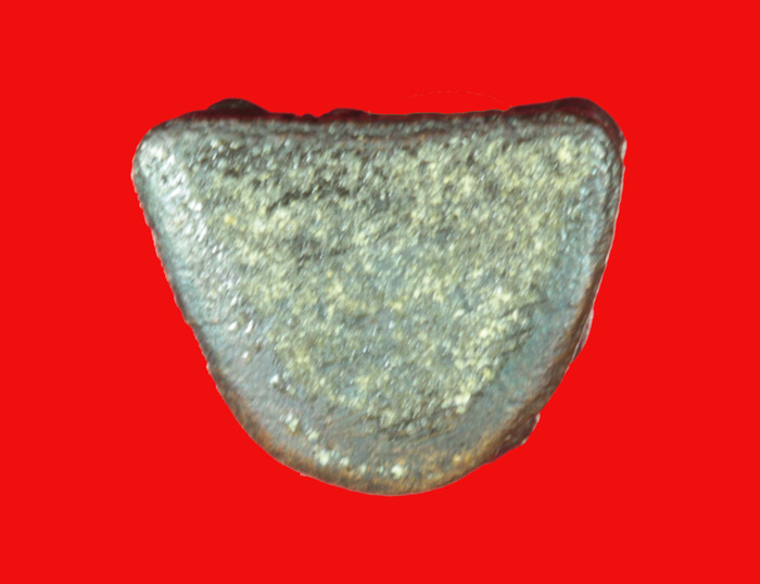 พระรูปเหมือนหลวงปู่ทับ วัดสุวรรณาราม(วัดทอง) กทม.