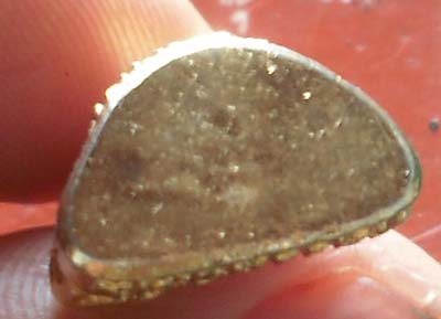 รูปเหมือนย้อนยุค หลวงพ่อเดิม วัดหนองโพ กะไหล่ทอง สวยมากๆ 