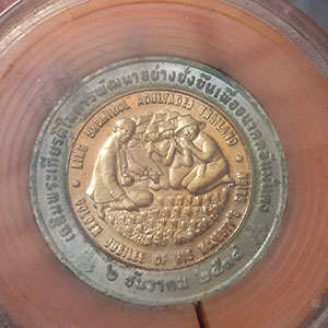 เหรียญ 10 บาท เฉลิมพระเกียรติ ร.9 การพัฒนาอย่างยั่งยืน เพื่ออนาคตมั่นคง (อะกริคอลา) ปี 2538 (ตลับเดิ