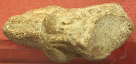 *พิมพ์เชียงแสนสองหน้า กรุวัดบางยี่หน สุพรรณบุรี*