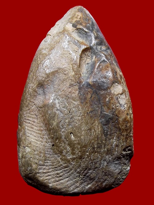 ราคาเบาๆ พระท่ามะปราง กรุวัดสำปะซิว (พระมีซ่อมครับ)