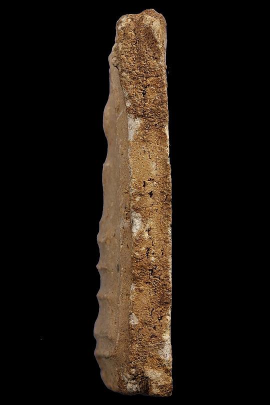 สมเด็จเส้นด้ายหลวงตาพัน02