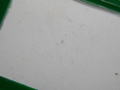 รูปถ่ายขาวดำต้นแบบเหรียญรุ่นแรก ปี18   ขนาด 3x4ซม.หลังปั๊มยันต์ เก่า สวย เลี่ยมเดิม