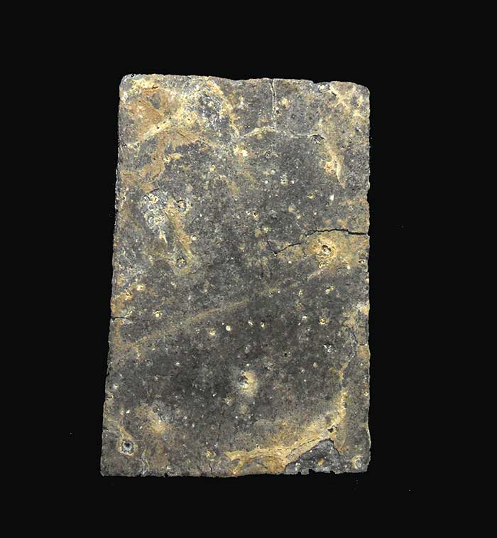 พระสมเด็จหลวงปู่ลำภู วัดใหม่อมตรส (บางขุนพรหม) พิมพ์ปรกโพธิ์ เนื้อผงใบลาน ลงกรุ ปี 02 สวยและหายากครั