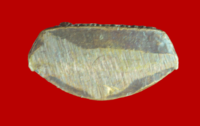 รูปเหมือนปั๊มอุดกริ่ง พระพุทธชินราช จ.พิษณุโลก