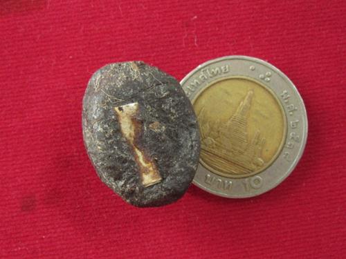 เบี้ยแก้...หลวงพ่อเกษม เขมโก สุสานไตรลักษณ์ รุ่นสุริยุปราคา พ.ศ.2538 กล่อง  