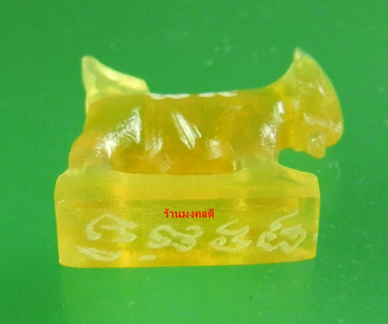 แพะมหาเสน่ห์ แกะจากเขาควาย สีน้ำผึ้ง หลวงพ่อสิน วัดละหารใหญ่ จ.ระยอง  ปี57 No.29