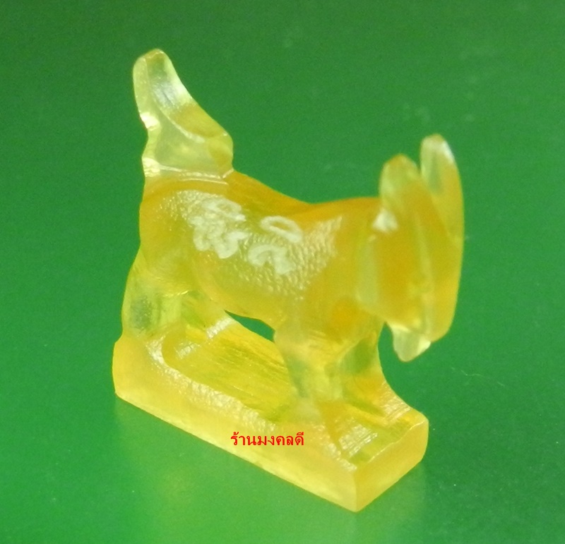 แพะมหาเสน่ห์ แกะจากเขาควาย สีน้ำผึ้ง หลวงพ่อสิน วัดละหารใหญ่ จ.ระยอง  ปี57 No.29