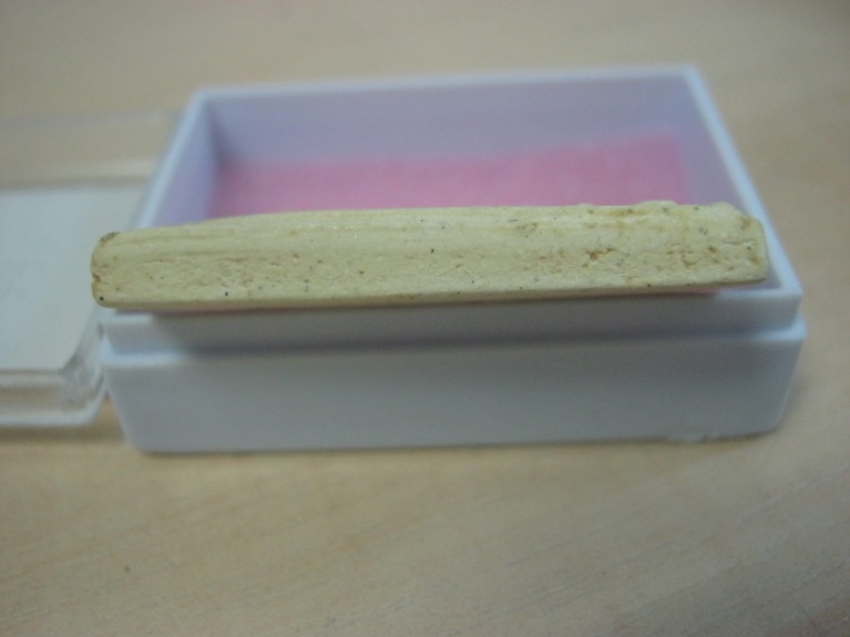 พระสมเด็จ108ปี พ.ศ.2523 พิมพ์แขนจุด องค์ที่3