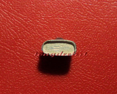 หมูจิ๋วมหาลาภ หลวงพ่อเปิ่น วัดบางพระ จ.นครปฐม เนื้อเงิน น่ารักมากค่ะ