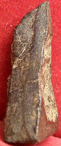 *นางพญาอกนูน เนื้อดิน ปี๒๔๗๒..ลป.โต๊ะ วัดประดู่ฉิมพลี*