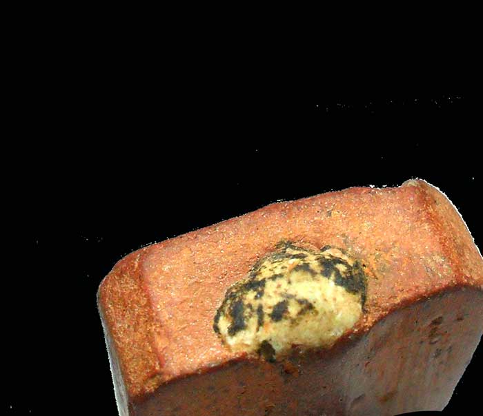 พระหลวงพ่อปาน วัดบางนมโค พิมพ์ทรงครุฑผีเสื้อ หลวงพ่อฤาษีลิงดำ วัดท่าซุง ปลุกเสก