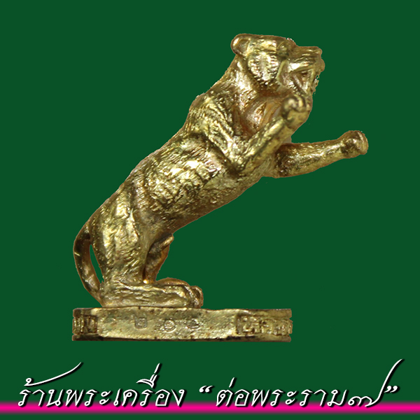 เสือมหามงคล มหาอำนาจ หลวงพ่อไสว วัดปรีดาราม (ยายส้ม) อ.สามพราน จ.นครปฐม ปี 2541