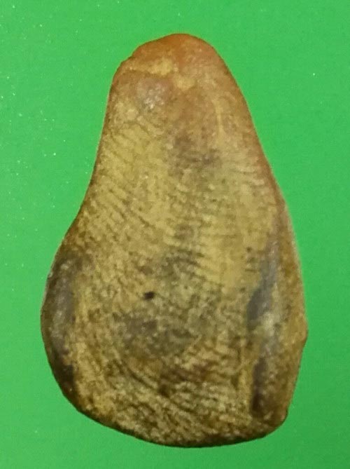 พระนางแขนอ่อน เนื้อดิน สุโขทัย