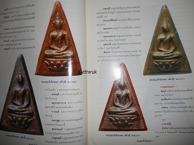 หนังสือ เรียนรู้ เจาะลึก สมเด็จจิตรลดา พระกำลังแผ่นดิน