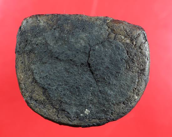 พระบูชาหลวงปู่ทวดวัดช้างให้เนื้อว่านปี2497หน้าตัก1.5นิ้ว