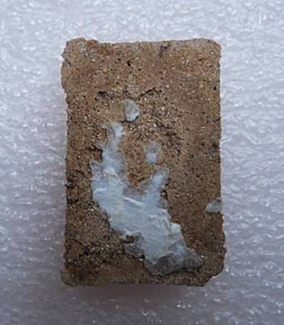 พระปิดตาสาริกา หลวงปู่หมุน ปลุกเสก พิธีมหาสมปรารถนา วัดซับลำใย ปี 2543