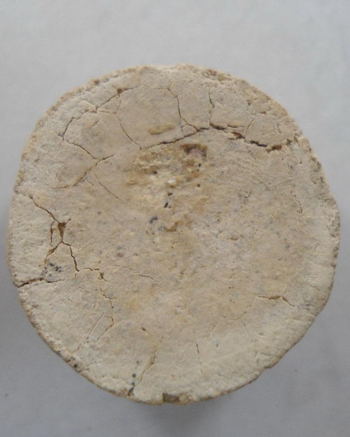 " พระผงจันทร์ลอย หลวงปู่โต๊ะ วัดประดู่ฉิมพลี "