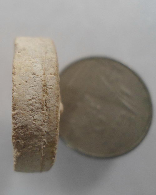 " พระผงจันทร์ลอย หลวงปู่โต๊ะ วัดประดู่ฉิมพลี "