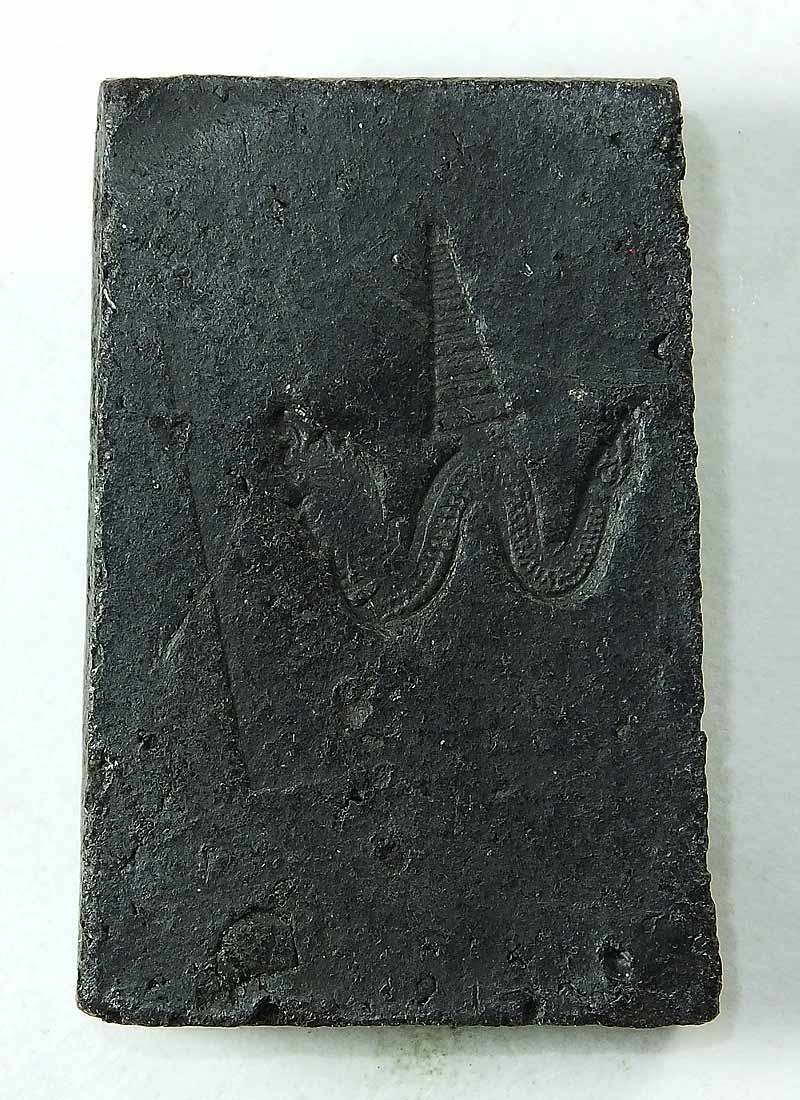 @@@..ท่านเจ้าคุณเที่ยง วัดระฆังฯ กรุงเทพฯ พิมพ์พระปิดตา หลัง พญานาค ( หายาก ) ราคา 270 บาท ครับ..@@@