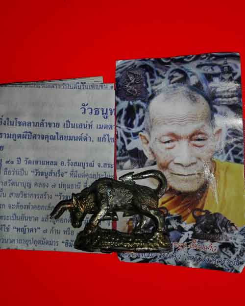 วัวธนู เนื้อปลอกลูกปืน หลวงปู่กาหลง