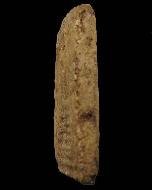 พระสมเด็จหลวงพ่อลำภู พิมพ์ฐานคู่ ลงกรุ ปี 2502 วัดใหม่อมตรส บางขุนพรหม กทม