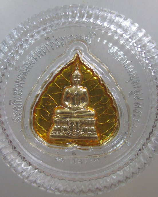 ๒๐ เหรียญพระพุทธพรรณีศรีธรรมไภสัช สร้างเฉลิมพระเกียรติ พระบาทสมเด็จพระเจ้าอยู่หัว ร.9