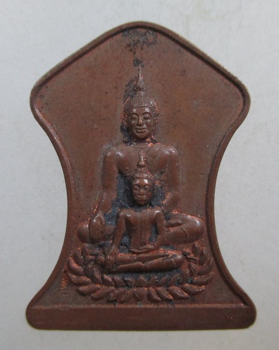 ๒๐ เหรียญพระพุทธ หลวงปู่ชู วัดนาคปรก