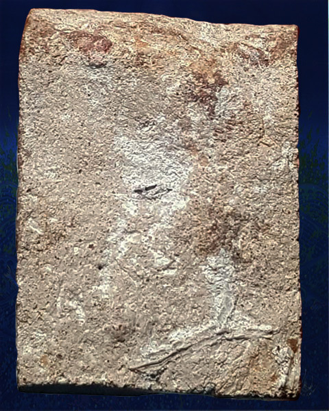 พระแผงนาดูนตัดสี่ พิมพ์นาคปรกเล็ก  เนื้อหินมะขามคราบขาว จ.มหาสารคาม