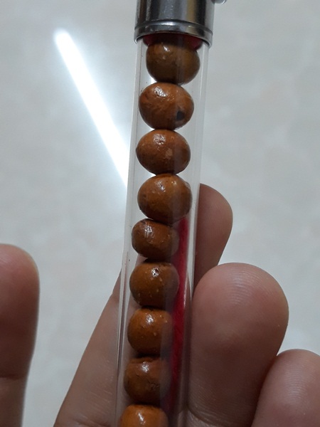 เม็ดประคำเสาร์ 5 ปี 43 สีน้ำตาล รวม 9 เม็ด หลวงปู่หมุน