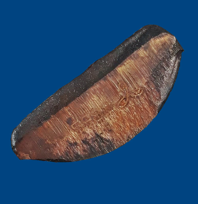 รูปเหมือนปั๊มพิมพ์เข่ากว้างหลังเต็ม รุ่นเจริญลาภ หลวงปู่โสฬส วัดโคกอู่ทอง จ.ปราจีนบุรี ปี2554 