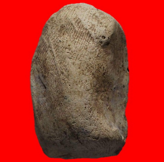 พระคงขาวองค์ล่ำหนา โพธิ์เด้ง กำไลข้อมือและเท้าพอเห็นชัด เม็ดบัวติดชัดมิติคมชัดลึก