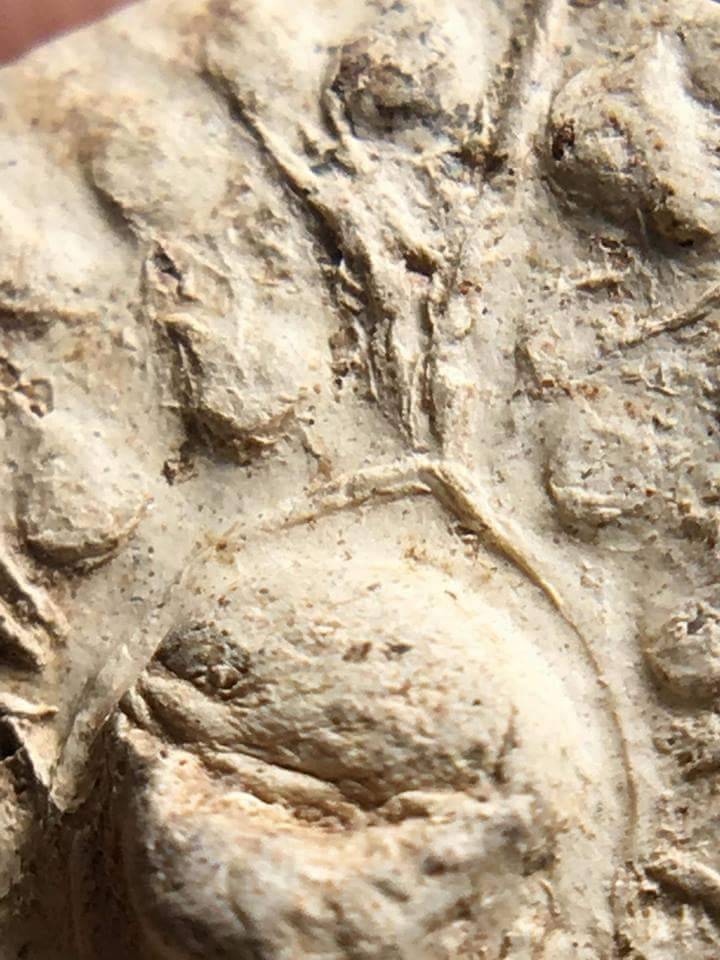 พระคงขาวองค์ล่ำหนา โพธิ์เด้ง กำไลข้อมือและเท้าพอเห็นชัด เม็ดบัวติดชัดมิติคมชัดลึก