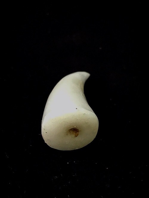 เขียวหนุมานหินหยกขาวอุดผงพรายกุมาร