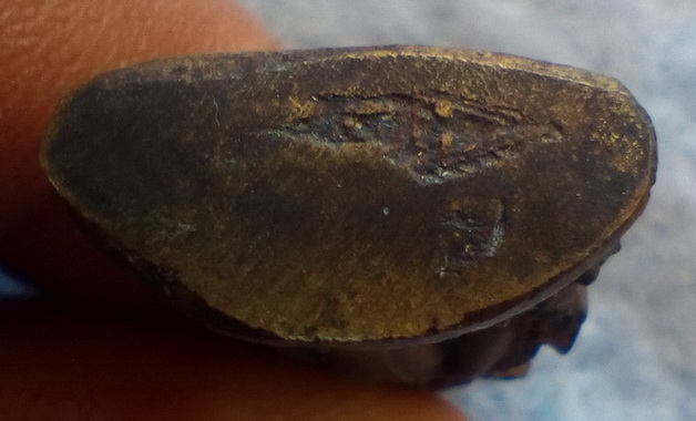 พระพุทธชินราช รุ่นหลวงพรหมโยธี เนื้อทองผสม จ.พิษณุโลก ปี ๒๔๙๕