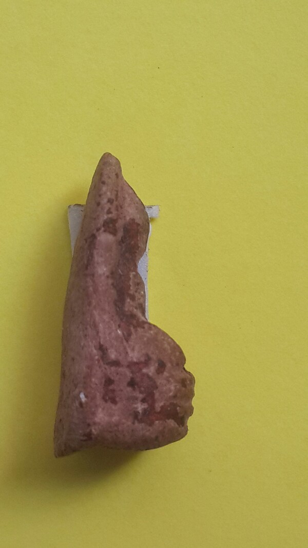 พระรอดมาพร้อมรอยน้ำ 