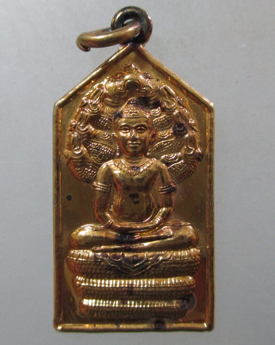 ๒๐ เหรียญพระนาคปรก