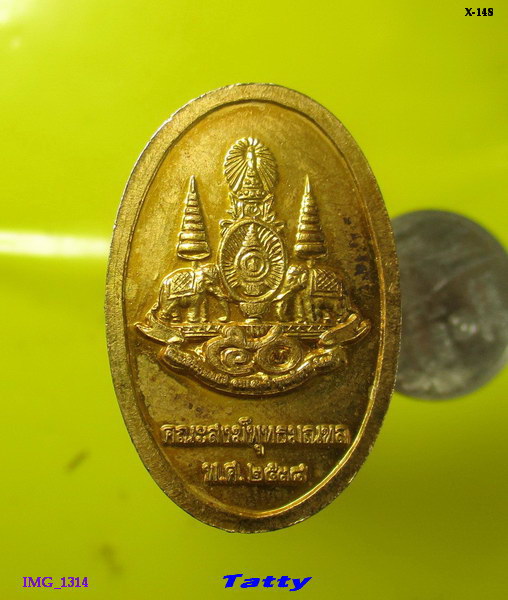 พระลีลากะไหล่ทอง คณะสงฆ์พุทธมณฑล นครปฐม ปี 2538