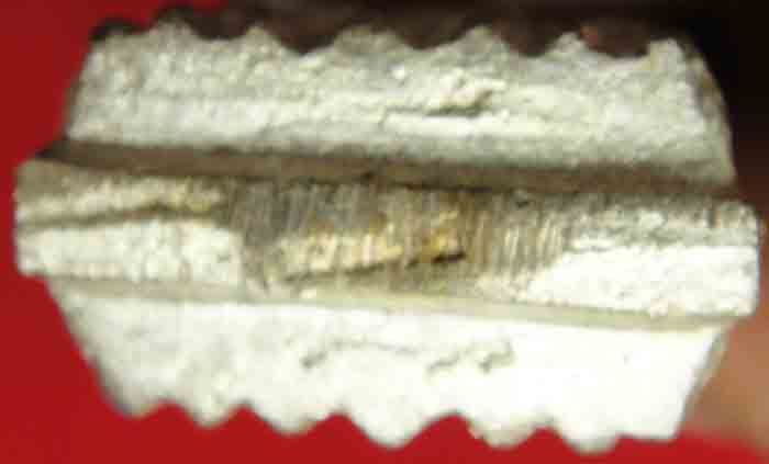 หลวงปู่ทวด พิมพ์เตารีดใหญ่ 2 หน้า (กรรมการ) เนื้อนวะพรายเงิน โค้ตกรรมการคอจุด พระสังฆราชปลุกเสก