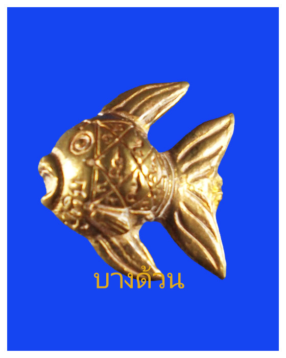 ปลาตะเพียนหลวงปู่ทิมวัดพระขาวจ.อยุธยา