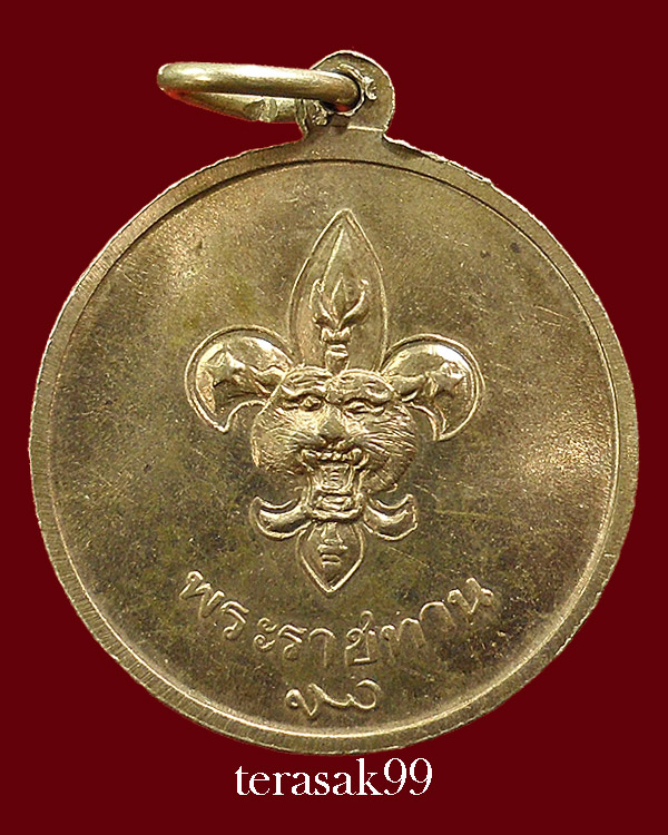 เหรียญในหลวง พระราชทานลูกเสือ สวยๆราคาเบาๆ(18) 