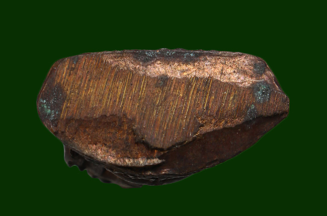  200 ฿ รูปหล่อพระพุทธชินราช อุดกริ่ง ไม่ทราบปีสร้าง