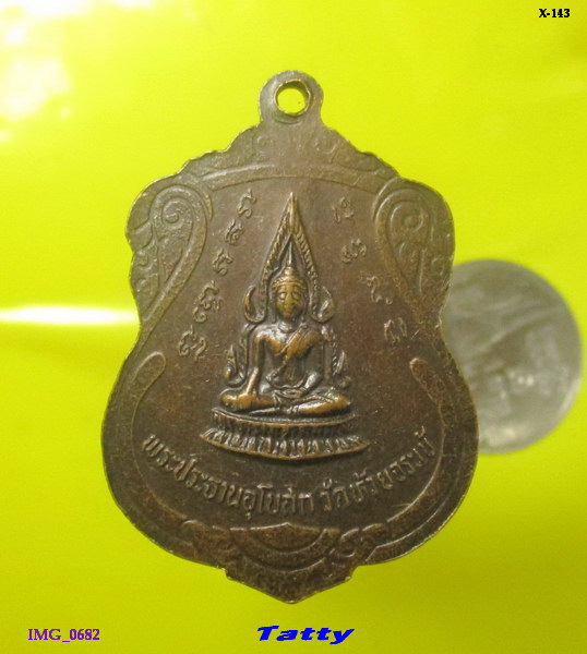 เหรียญพระประธาน หลังหลวงปู่นาค วัดห้วยจระเข้ นครปฐม