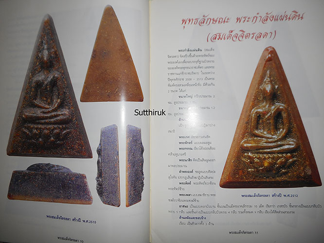 หนังสือ เรียนรู้ เจาะลึก สมเด็จจิตรลดา พระกำลังแผ่นดิน