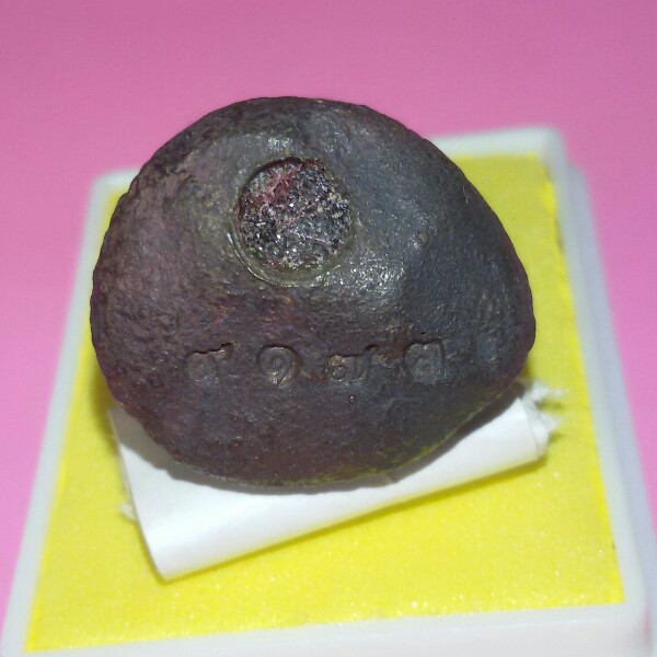 หลวงปู่ทวด วัดช้างให้ นวะ