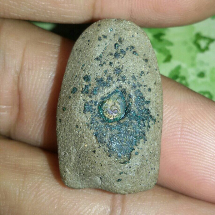 หลวงปู่ทวด วัดช้างให้ 41