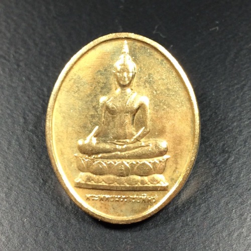 เหรียญพระพุทธนวราชบพิตร หลัง ภปร.ปี 29 
